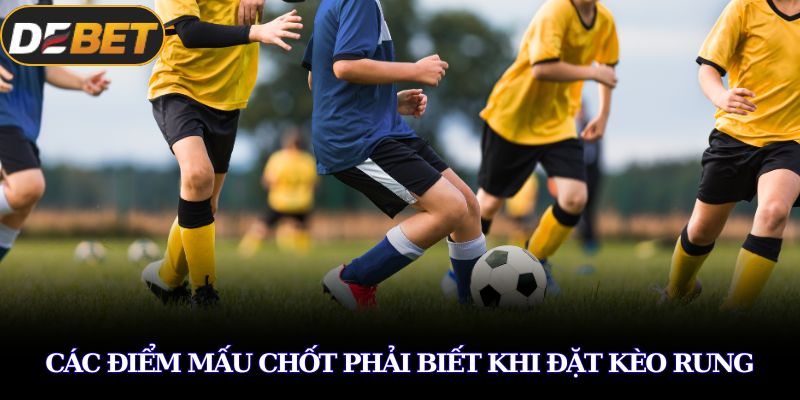 Các điểm mấu chốt phải biết khi đặt kèo rung