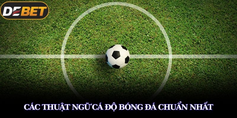 Các thuật ngữ cá độ bóng đá chung nhất