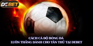 cá độ bóng đá