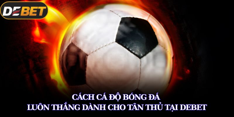 Cách Cá Độ Bóng Đá Luôn Thắng Dành Cho Tân Thủ Tại DEBET 1 cá độ bóng đá