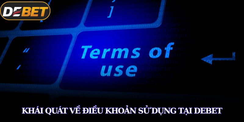 Khái quát về điều khoản sử dụng tại DEBET