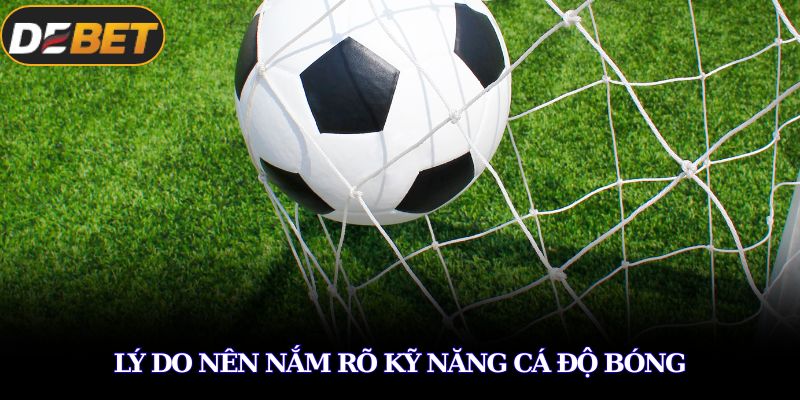 Cách Cá Độ Bóng Đá Luôn Thắng Dành Cho Tân Thủ Tại DEBET 4 Lý do nên nắm rõ kỹ năng cá độ bóng