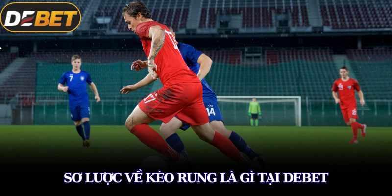 Sơ lược về kèo rung là gì tại DEBET