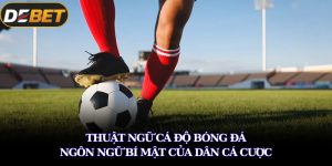 cá độ bóng đá